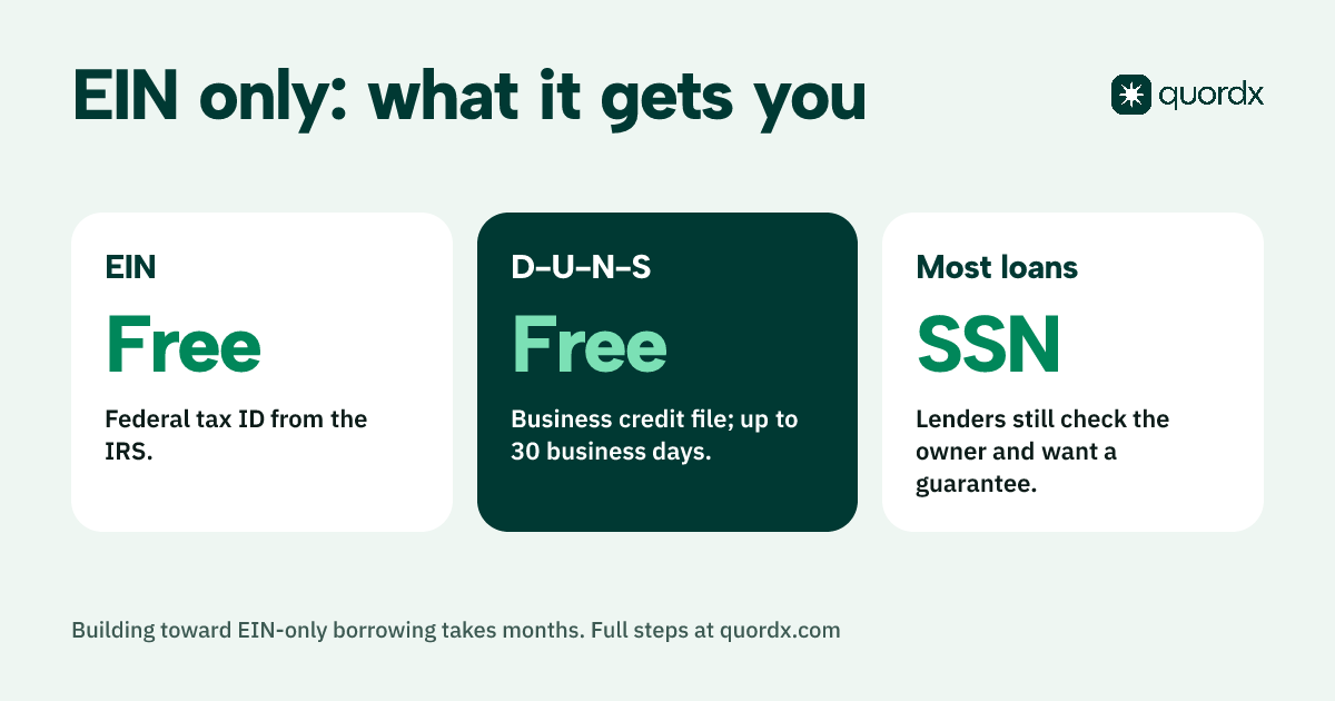 An EIN and a D-U-N-S number are both free, but most lenders still ask for the owner's SSN to check personal credit and set up a personal guarantee.